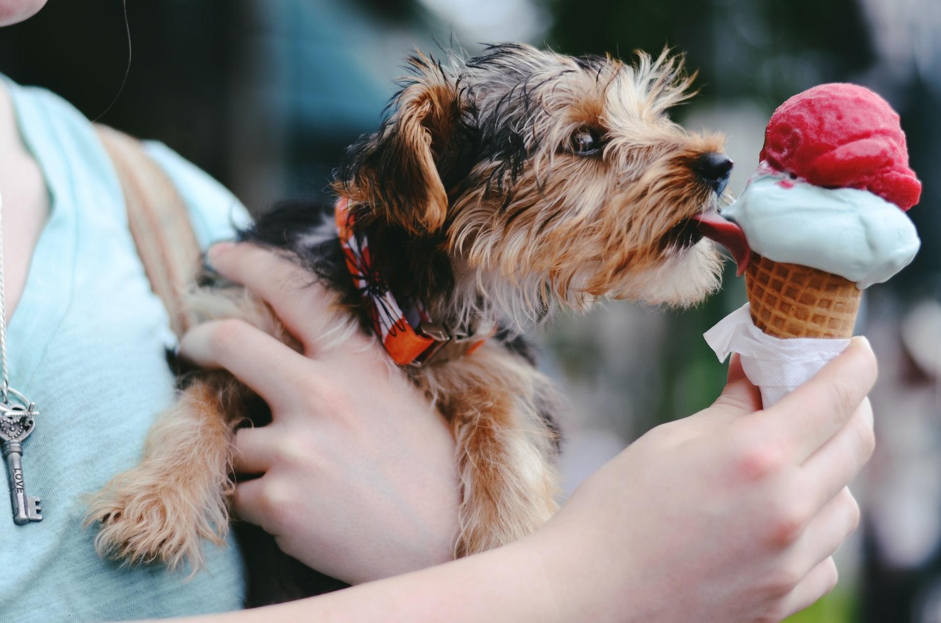 Paris gourmand : les glaces insolites