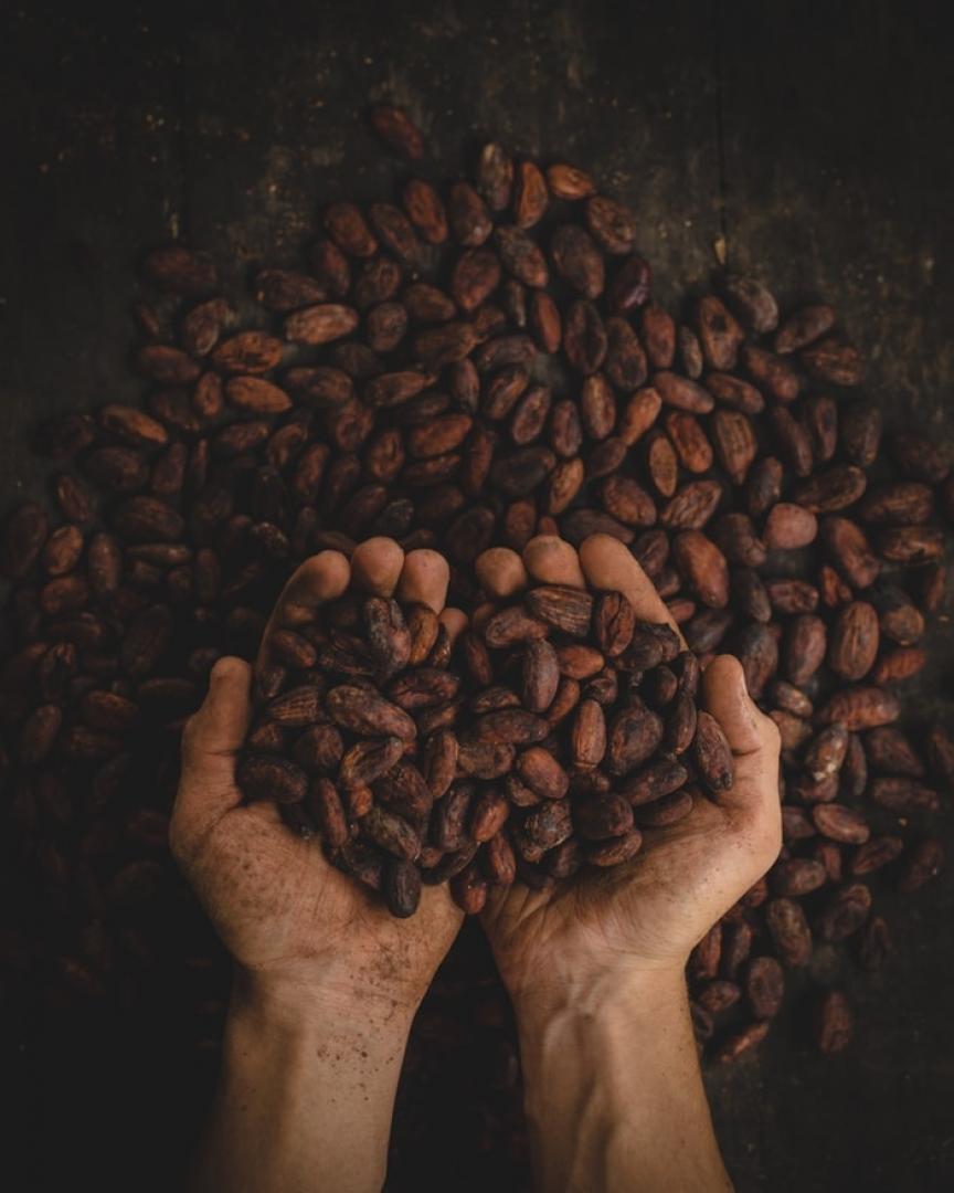 Salon du Chocolat et Musée du Chocolat : un duo gourmand